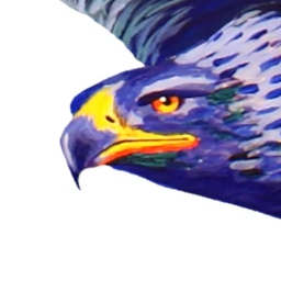 Marek S. Ł.'s avatar